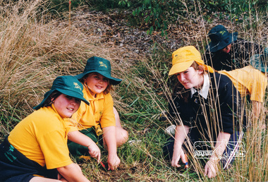 Photograph, Richard Pinn, Tree Planting, Hurstbridge Primary School students, Fergusons Paddock, Hurstbridge, c.1999, 1999c