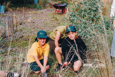 Photograph, Richard Pinn, Tree Planting, Hurstbridge Primary School students, Fergusons Paddock, Hurstbridge, c.1999, 1999c