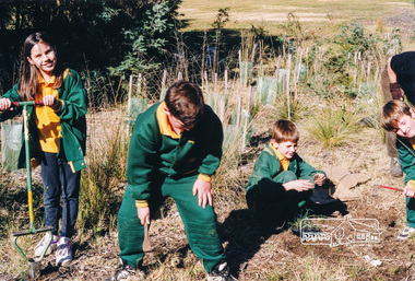 Photograph, Richard Pinn, Tree Planting, Hurstbridge Primary School students, Fergusons Paddock, Hurstbridge, c.1999, 1999c