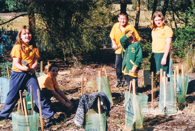 Photograph, Richard Pinn, Tree Planting, Hurstbridge Primary School students, Fergusons Paddock, Hurstbridge, c.1999, 1999c