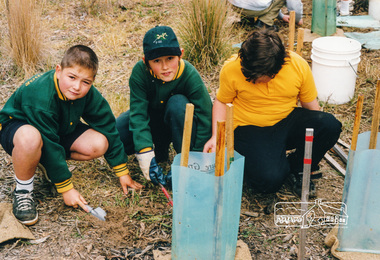 Photograph, Richard Pinn, Tree Planting, Hurstbridge Primary School students, Fergusons Paddock, Hurstbridge, c.1999, 1999c