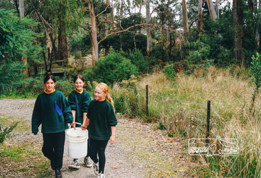 Photograph, Richard Pinn, Tree Planting, Hurstbridge Primary School students, Fergusons Paddock, Hurstbridge, c.1999, 1999c
