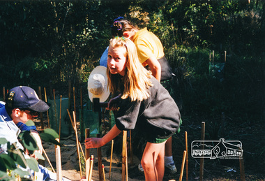 Photograph, Richard Pinn, Tree Planting, Hurstbridge Primary School students, Fergusons Paddock, Hurstbridge, c.1999, 1999c