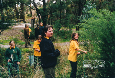 Photograph, Richard Pinn, Tree Planting, Hurstbridge Primary School students, Fergusons Paddock, Hurstbridge, c.1999, 1999c