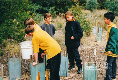 Photograph, Richard Pinn, Tree Planting, Hurstbridge Primary School students, Fergusons Paddock, Hurstbridge, c.1999, 1999c