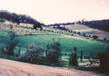 Photograph, Bird family Orchard, Pitt Street, Eltham, c.1980s, 1980s