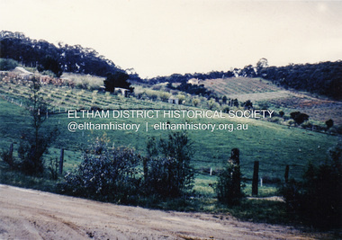 Photograph, Bird family Orchard, Pitt Street, Eltham, c.1980s, 1980s