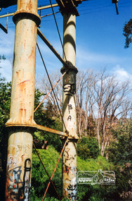 Photograph, The Maroondah Aqueduct System Old Pipe Bridge, Plenty River Walk, Greensborough, c.1989, 1989c