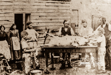 Photograph, Butchering a pig, possibly Greensborough, c.1870, 1870c