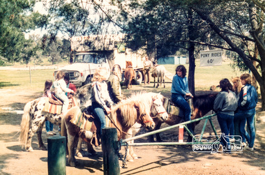 Photograph, Horse and Pony Club, Eltham Lower Park, 1985
