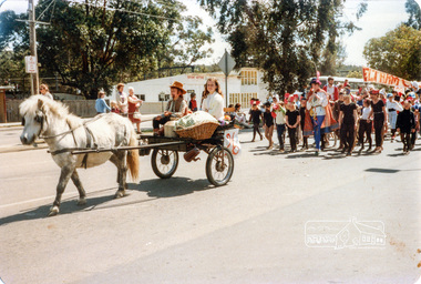 Photograph, Shire of Eltham Historical Society "Pioneers of Eltham" entry in the Eltham Community Festival Parade, 17 October 1981, 17/10/1981