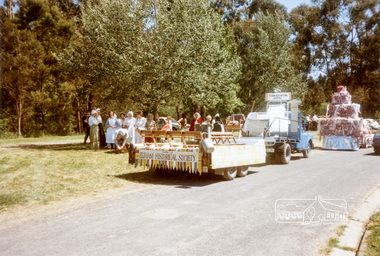 Photograph, Eltham Community Festival Parade, 12 November 1988, 12/11/1988