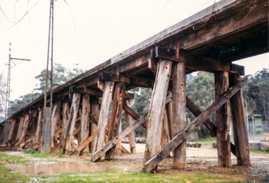 Photograph, Trestle Railway Bridge, Eltham, 1986, 1986