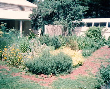 Photograph, Churchill Island, Spring Excursion, 22 November 1987, 22/11/1987