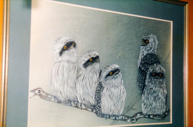 Photograph, Peter Bassett-Smith, Shire of Eltham Art Collection, 1988