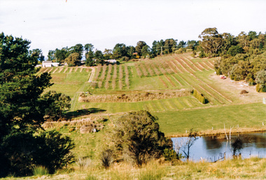 Photograph, Between Kangaroo Ground and Panton Hill looking east from near Flat Rock Road towards Kangaroo Ground-St Andrews Road, 1995, 1995
