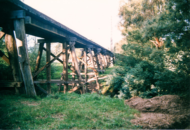 Photograph, Trestle Railway Bridge, Eltham