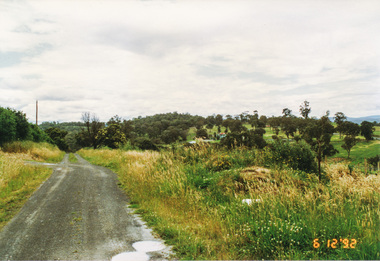 Photograph, Looking north along Ness Lane, Kangaroo Ground, 6 December 1992, 06/12/1992