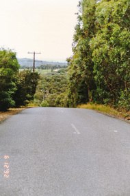 Photograph, Pigeon Bank Road, Kangaroo Ground, 6 December 1992, 06/12/1992