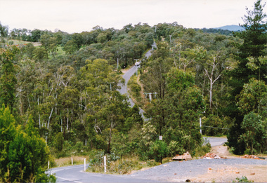 Photograph, Menzies Road from Pigeon Bank Road, Kangaroo Ground, 6 December 1992, 06/12/1992