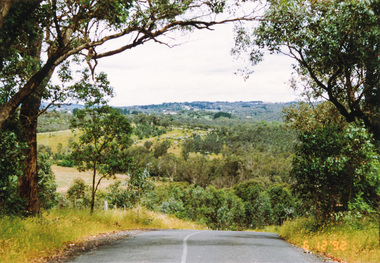 Photograph, Looking south along Menzies Road, Kangaroo Ground, 6 December 1992, 06/12/1992