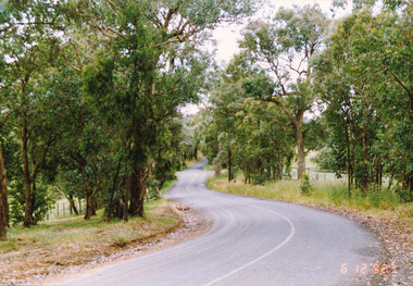 Photograph, Looking north along Menzies Road, Kangaroo Ground, 6 December 1992, 06/12/1992