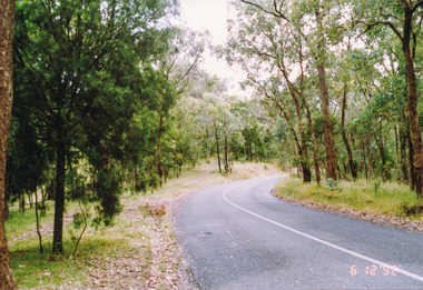 Photograph, Menzies Road near Henley Road, Kangaroo Ground, 6 December 1992, 06/12/1992