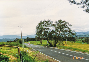 Photograph, Widened road reserve near Memorial Tower, Eltham-Yarra Glen Road, Kangaroo Ground, 6 December 1992, 06/12/1992