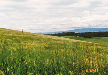 Photograph, Looking north from Eltham-Yarra Glen Road, Kangaroo Ground, 6 December 1992, 06/12/1992