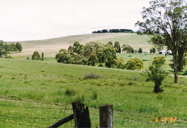 Photograph, Route southwest to Memorial Tower near Kangaroo Ground Cemetery, 6 December 1992, 06/12/1992