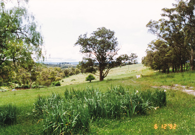 Photograph, Route north to Dawson Road near Kangaroo Ground Cemetery, 6 December 1992, 06/12/1992