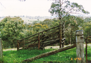 Photograph, Looking south from Dawson Road, Kangaroo Ground, 6 December 1992, 06/12/1992