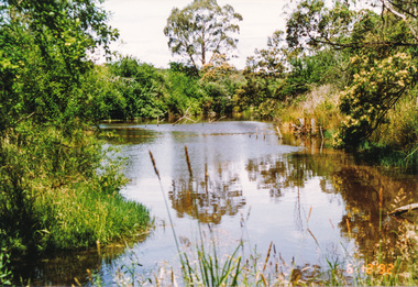 Photograph, Dam in Cracknells Road, Panton Hill, 6 December 1992, 06/12/1992