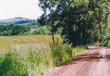 Photograph, Cracknells Road near Alma Road, Panton Hill, 6 December 1992, 06/12/1992