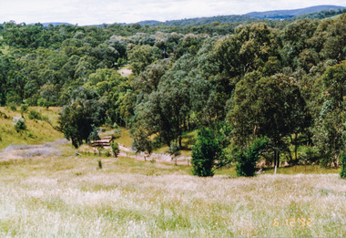 Photograph, Rodger Road from Alma Road, Panton Hill, 6 December 1992, 06/12/1992