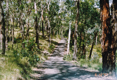 Photograph, Lawrence Road, Panton Hill, 6 December 1992, 06/12/1992