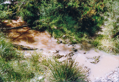 Photograph, Creek crossing, Long Gully Bushland Reserve, Panton Hill, 6 December 1992, 06/12/1992