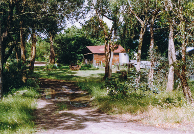 Photograph, Motschalls Road near Gills Road (now Turnung Road), Panton Hill, 6 December 1992, 06/12/1992