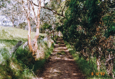 Photograph, Rob Roy Road, Panton Hill to Christmas Hills, 6 December 1992, 06/12/1992