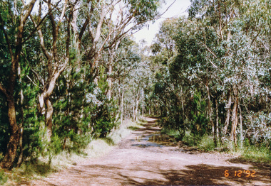 Photograph, Western end of Mineshaft Road, Smiths Gully, 6 December 1992, 06/12/1992