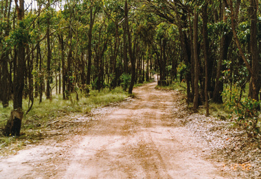 Photograph, Rifle Range Road, Smiths Gully, 7 December 1992, 07/12/1992