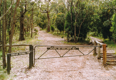 Photograph, Mt Everard Track at Marshalls Road, St Andrews, 7 December 1992, 07/12/1992