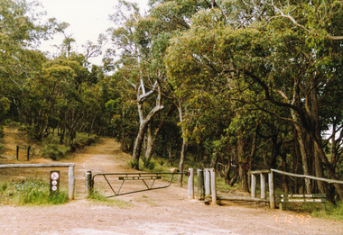Photograph, Northern end of Mt Everard Track, Kinglake, 7 December 1992, 07/12/1992