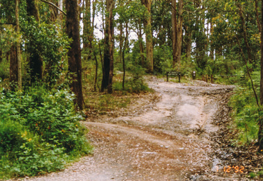 Photograph, Pinchgut Lane to left and Jerusalem Track straight ahead, Kinglake, 7 December 1992, 07/12/1992