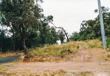 Photograph, Ingrams Road, south from Allendale Road, Research, 19 December 1992, 19/12/1992
