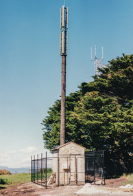 Photograph, Telstra Tower, 1999