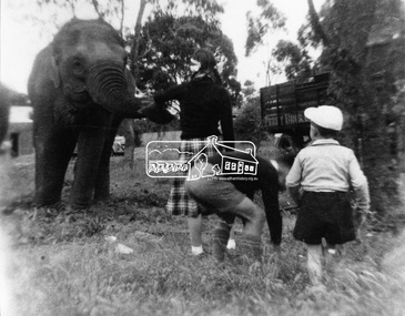 Photograph, Montmorency. Top of Were Street, 1952, 1952