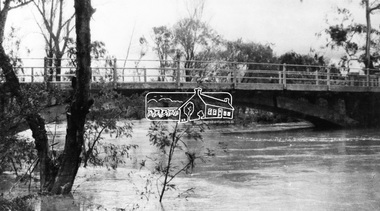 Negative - Photograph, Diamond Creek floodwater at Monash Bridge, Hurstbridge, Dec. 1934
