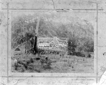 Negative - Photograph, J. P. Lind, Hurst's Bridge, 1885