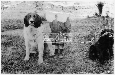 Photograph, William Hurst Gray, 1900